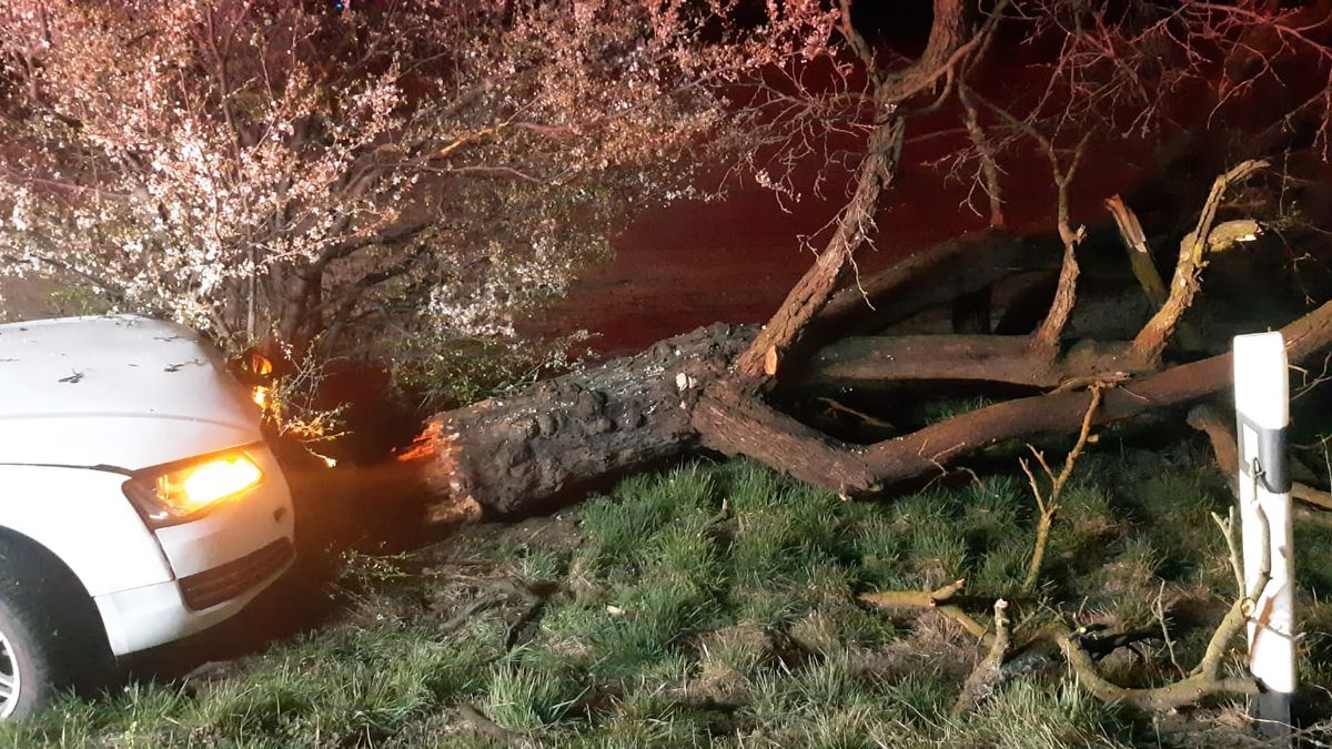Auto na Opavsku přerazilo strom, zranění jsou tři mladíci a dívka
